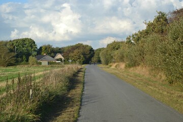 Images from the south Denmark nature