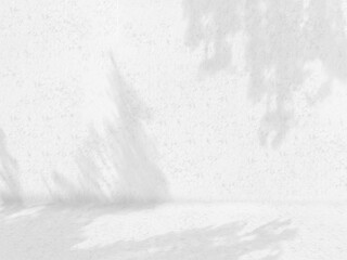 The floor and walls are white concrete. Shadows of leaves and branches. Natural pattern, light gray shadows and copy space. View perspective.