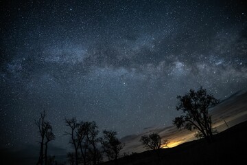 Stunning night sky filled with stars and the Milky Way over a silhouette of trees and a horizon