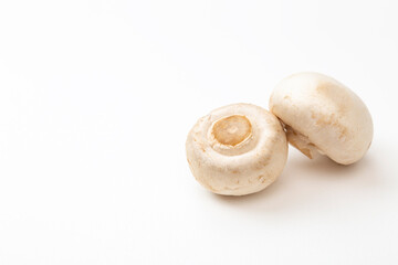 白背景にホワイトマッシュルーム