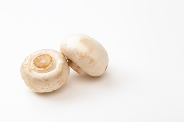 白背景にホワイトマッシュルーム