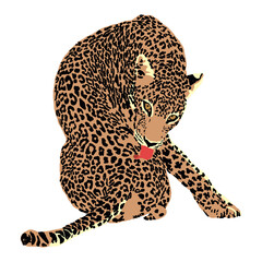 Abstract Illustration of a sitting Leopard