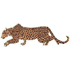 Abstract Illustration of a sneaking Leopard. Flat.