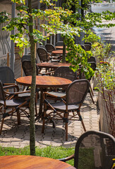 summer terrace with fresh flwoers