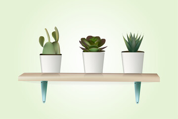 plants pot cactus bundle illustration 3d garden decorating