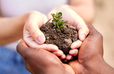 Farming, soil and hands of people with plant for growth, sustainability and eco friendly gardening....
