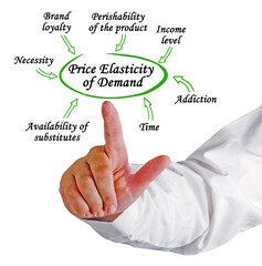What Determines Price Elasticity of Demand