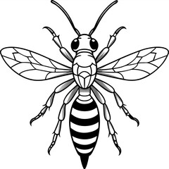 Insects coloring pages for kids coloring book