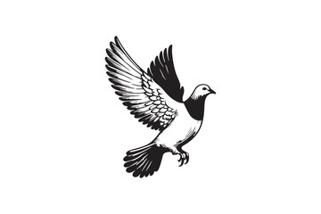 Obraz premium Elegant Dove Outline Drawing: Hand-Drawn Art