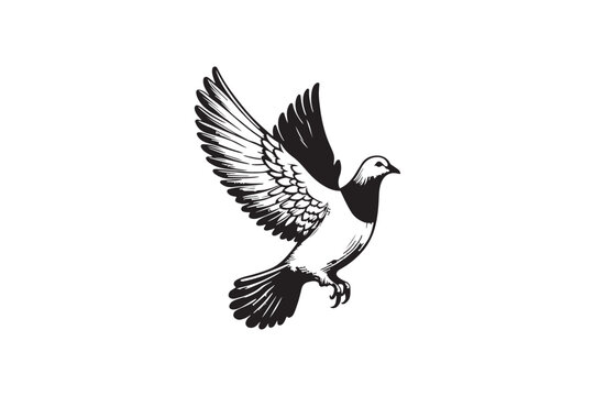 recommend clip art: Elegant Dove Outline Drawing: Hand-Drawn Art