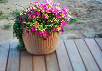 wicker basket with flowers