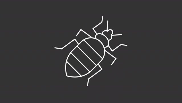Animated cockroach white icon. House parasite line animation. Moving insect. Termites control services. Isolated illustration on dark background. Transition alpha video. Motion graphic
