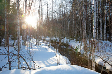 Natural forest view in Finland in winter