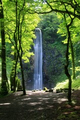 Obraz premium 玉簾の滝・たますだれのたき（山形県・酒田市）