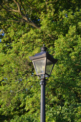 Latarnia nocna uliczna na tle drzew © VILKTERIO