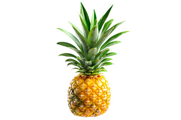 Fototapeta premium A fresh pineapple with green leaves, ready to eat, set against a white background
