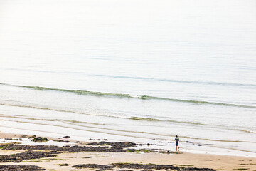 Person walking by the sea on a sand beach