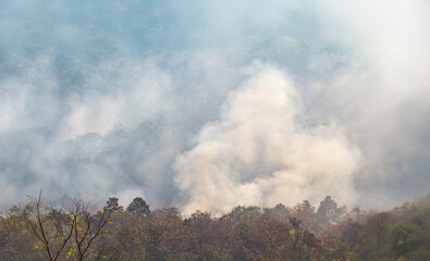 Wildfires release carbon dioxide (CO2) emissions and other greenhouse gases (GHG) that contribute...