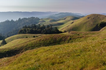 Grassy hills at the top of Mt Tamalpais at sunset, Marin, California, United States of America.