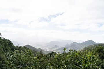 Laurel Park rural de Anaga, Tenerife lush greenery, walking paths, recreational area, local flora public park