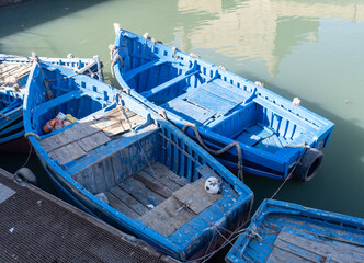 A street cat sleeps in a Moroccan blue boat, Essaouira port with fishing boats