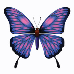 Butterfly, Peacock Butterfly Sitting Selective focus. High quality photos and Illustrator