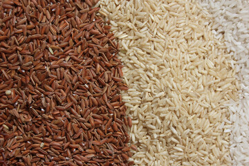 Different Rice Varieties in Rustic Kitchen.