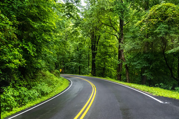 A long way down the road going to Great Smokey Mountains NP, Tennessee