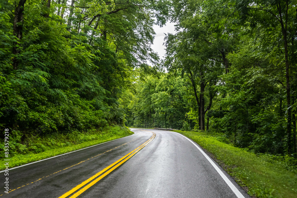 Wall mural A long way down the road going to Great Smokey Mountains NP, Tennessee