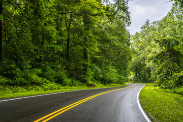 Fototapeta premium A long way down the road going to Great Smokey Mountains NP, Tennessee