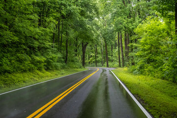 Fototapeta premium A long way down the road going to Great Smokey Mountains NP, Tennessee