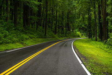 A long way down the road going to Great Smokey Mountains NP, Tennessee