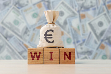 Euro Currency Bag on Win Blocks Against Money Background