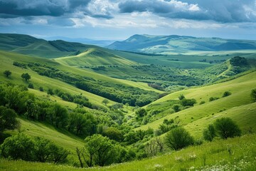 Naklejka premium A Green Valley Surrounded by Trees and Rolling Hills