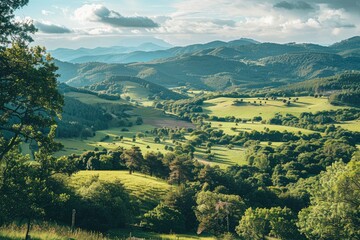 Naklejka premium A Green Valley Surrounded by Trees and Rolling Hills