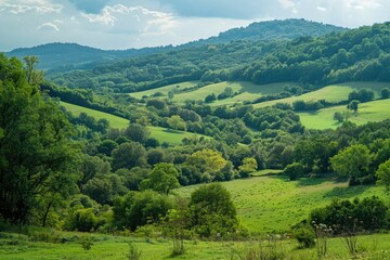 Obraz premium A Green Valley Surrounded by Trees and Rolling Hills