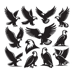 vector Bald Eagle set silhouette black in white background