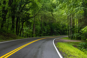 A long way down the road going to Great Smokey Mountains NP, Tennessee