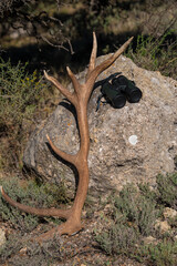 Deer antler and binoculars resting on a rock