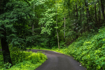 A long way down the road going to Great Smokey Mountains NP, Tennessee