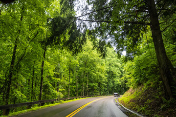 Fototapeta premium A long way down the road going to Great Smokey Mountains NP, Tennessee
