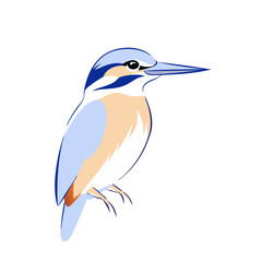 Obraz premium An elegant kingfisher bird with blue and white feathers perched gracefully.