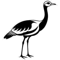 Elegant Arabian Bustard Bird Silhouette Vector Illustration Wildlife Design.