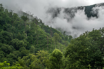 An overlooking view of nature in Great Smokey Mountains NP, Tennessee