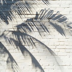 Fototapeta premium Palm Tree Shadows on White Brick Wall Texture, palm branch at sunlight, foliage pattern, tropic plant silhouette
