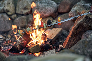 summer backdrop to a campfire with wood, grilled vegetables on a skewer on the campfire

