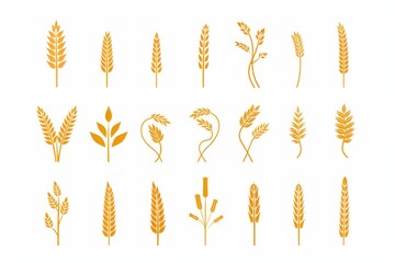 Wheat icon, rye ears sign, barley emblem, oats, cereals symbol, wheat ear, seeds, corns set