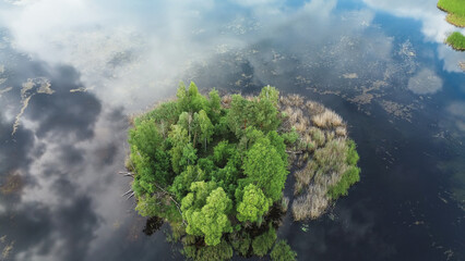 Scenic lake with lush green island and sky reflection