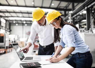 Two project managers standing in modern industrial factory, looking at laptop screen. Manufacturing...