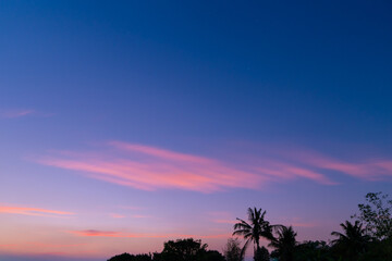 Fototapeta premium beautiful twilight sky, evening clouds move in shades of blue and pink, the sunsets behind coconut trees, casting shadows and revealing the beauty abstract nature background